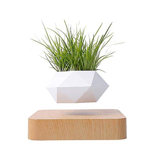 Bonsai De Aire Levitante MagnéTico, Maceta Flotante Levitante, Adorno