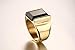Fashion Stainless Steel Gold Plated Vintage Square Black Agate Signet Rings for Men, Gold,Size 10