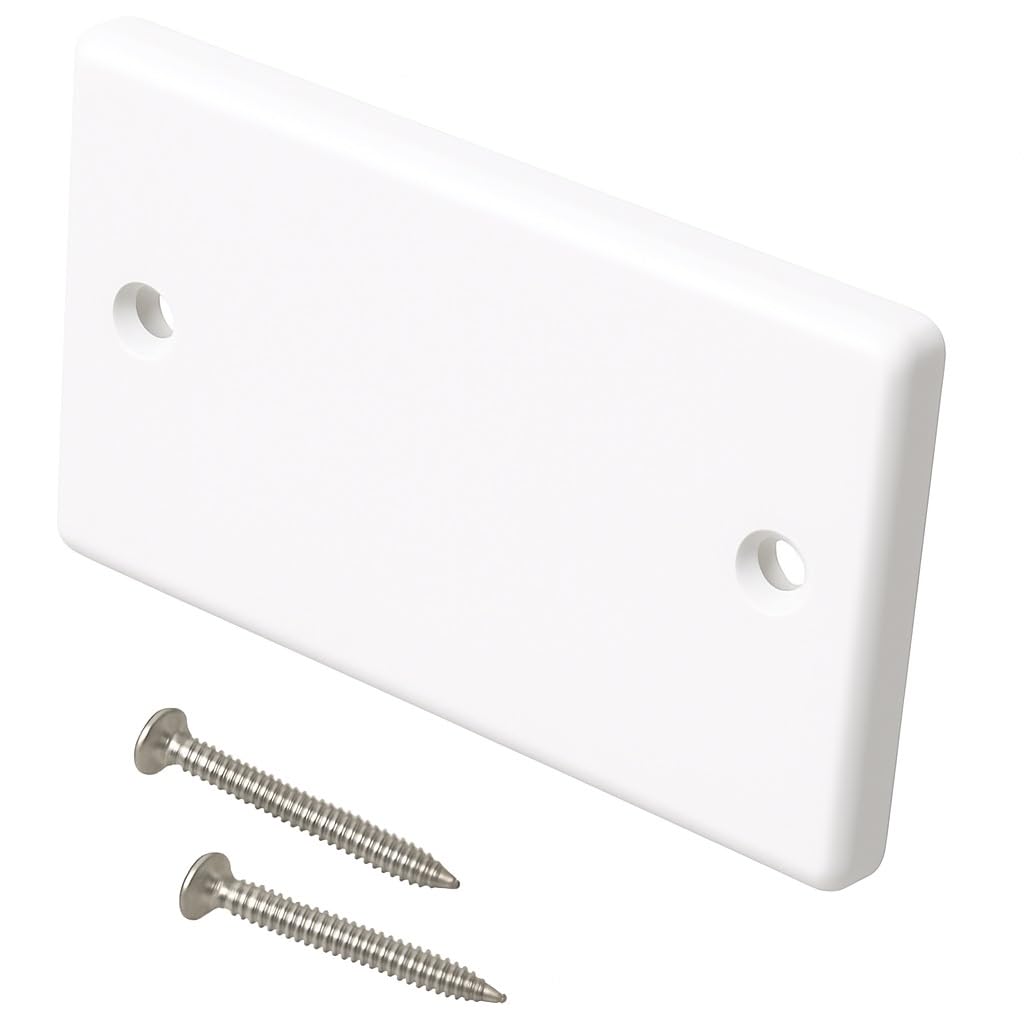 DRUT Plaque d'obturation Double, 2 Gangs, Plaque Frontale pour Prises électriques, boîte arrière Blanche, avec vis, 1 pièce