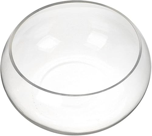 HANABASS Tazón de burbujas de vidrio, mini pecera, pequeño acuario, cuenco de peces de globo, florero, florero, planta, terrario, frasco, para