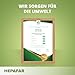 Leber Entgiften – Grüner Tee, Mariendistel, Löwenzahn und Klettenwurzel – Löwenzahntee – 40 Teebeutel – Hepafar von Sensilab