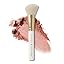 24 Angled Blush Brush (Limited Edition)