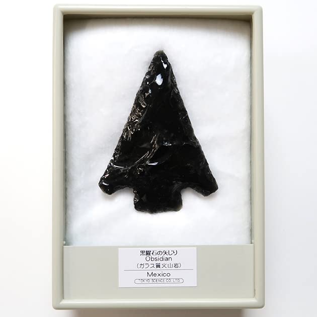 Amazon | SCIENCE 黒曜石の 矢じり 矢尻 鏃 Obsidian（ガラス質火山岩