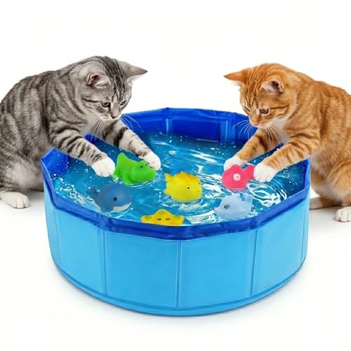 DYFCNP Cat Pool Toy with Fish-Water Cat Toys Portable Cat Pool Toy for Indoor Cats & Outdoor Play Perfect for Bored Kittens & Adult Cats Summer Cooling & Enrichment (A)