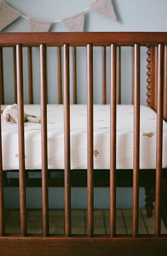 Image of Oilo Crib Sheet, Breathable, Fitted, Organic Cotton Jersey, 300-Thread, Machine Wash, Fits Standard Crib (28 inch x 52 inch x 9 inch), Toddler Bedding, Heirloom Organic Collection, Bear