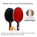 Sportout Table Tennis Racket, Ping Pong Paddle Set with 2 Bats and 3 Ping Pong Balls and Table Tennis Paddle Case