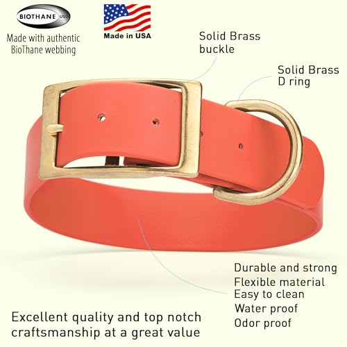 Image of Viper Biothane Heavy Duty Waterproof Dog Collar Strong Coated Nylon Webbing w /Solid Brass Hardware Odor-Proof Easy to Clean High Performance Fits Small Medium or Large Dogs, Coral