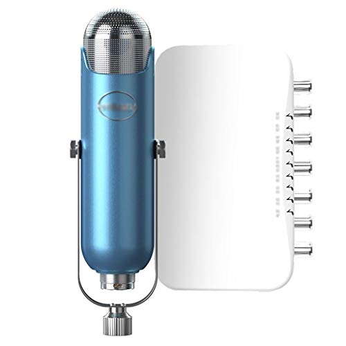 Live-Ausrüstung Soundkarte Set Universal Anker Rufen Weizen Singen Sonder Artifact Mikrofon Mikrofon (Color : A)