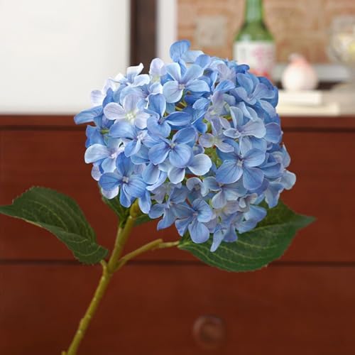 Maiitmor AWTC  3{Zbg VNt[    ͂Ȃ }`bN A[gt[ ʐ^wi Be lH Mtg j ԑ