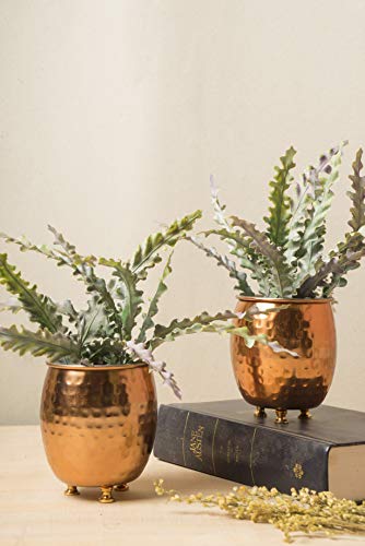 Gocraft Succulent Planter Pot Set Of 2 - Hammered Copper Finish Mule Mug Inspired, Small Cactus Herb Plant Pot Window Box Container For Home Office Desktop Tabletop Decoration #TOP3