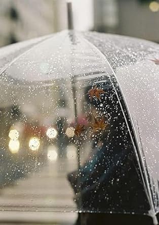 Image of Windproof Transparent Automatic Foldable Umbrella - Clear Rain Umbrella for Daily Use, Office, College, Shopping & Travel, Lightweight & Portable
