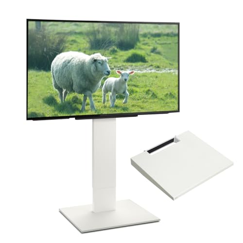 EQUALS CR[Y er Ǌ񂹃erX^h WALL V5 nC^Cv +I[WTCYZbg 32^?80^Ή TezCg (I:TezCg)