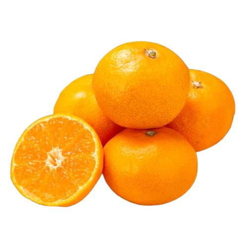 [先行受付]九州・福岡フルーツ王国八女 産地直送!旬のみかん 約5kg[2026年10月〜12月頃発送][お届け不可:北海道・沖縄・離島]