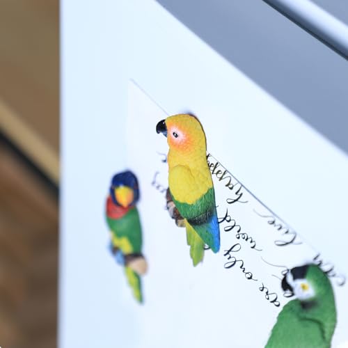 5 imanes de loro decorativos para refrigerador miniatura 6