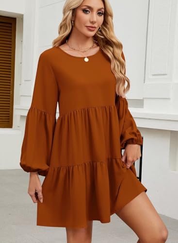 Image of QACOHU Falll Dresses for Women 2026 Crew Neck Long Lantern Sleeve Casual Loose Flowy Swing Shift Dress