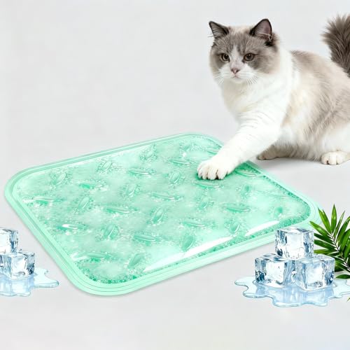 &Lpp}bg - |[^u܂肽ݎWFNbV _炩\ʁAOł̎gpAƒAԁA\t@p̐\ȉK (O[)