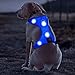 Domi LED Dog Harness, USB Rechargeable No Pull Pet Harness, Adjustable Padded Soft Vest for Your Small Medium Large Dogs(L, Blue)