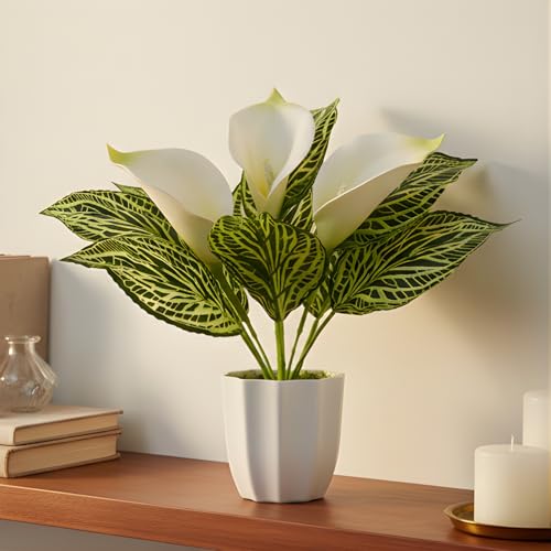 Image of fancymart Artificial Calla Lily Plant with Pot - 30 cm Height Decorative Flower Leaves (Pack of 1) | Realistic Faux Plant for Home & Office Decor | Table, Shelf & Desk Decoration
