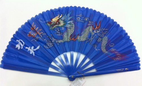 Blue Plastic Kung Fu Tai Chi Training Fan with Dragon Design
