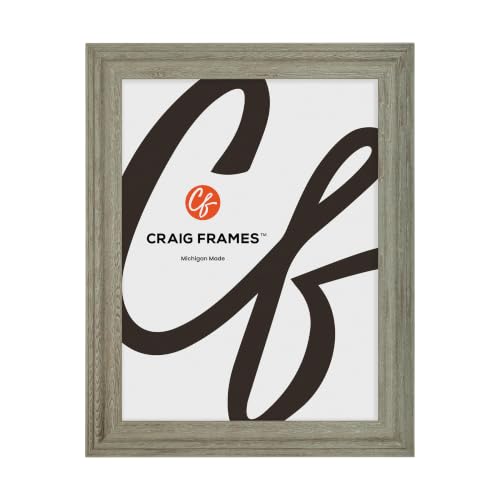 Craig Frames 18x24 Gray Barnwood Picture Frame for Posters and Gallery Wall