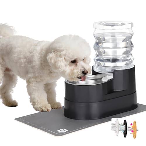 RIZZARI Automatic Cat Water Dispenser: Large 5L Black with Stainless