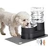 RIZZARI Automatic Cat Water Dispenser: Black 5L Elevated Feeder with Specialized Brush and Triple Filtration – Stainless Steel Gravity Bowl – Leakproof Base for Indoor Pets