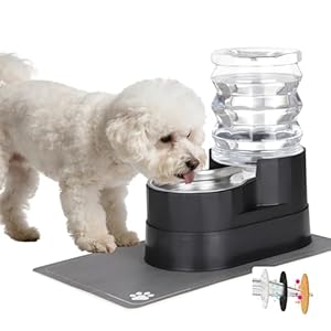 RIZZARI Automatic Cat Water Dispenser: Black 5L Elevated Feeder with Specialized Brush and Triple Filtration – Stainless Steel Gravity Bowl – Leakproof Base for Indoor Pets