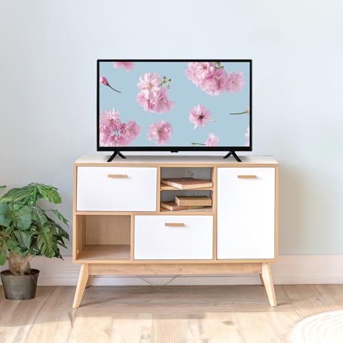 Amazon.co.jp: ドウシシャ（DOSHISHA): テレビ