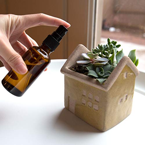 Set 8 Botellas de vidrio ámbar para spray, 2 de 8 oz y 6 de 4 oz miniatura 4