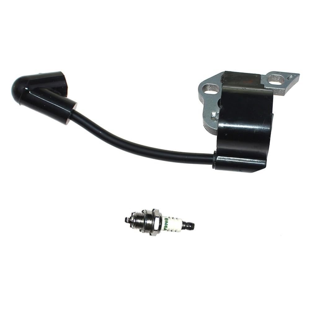 Bobine d'allumage pour RY10519A évite les calages du moteur 309261003 pièce motoculture