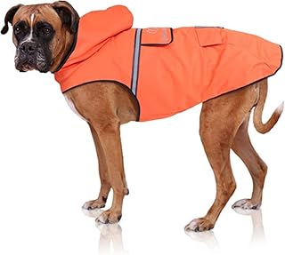 Bella & Balu Dog Raincoat - Waterproof dog coat with hood and reflectors for dry, safe walks, the dog playground and holidays with dog (M | Grey).