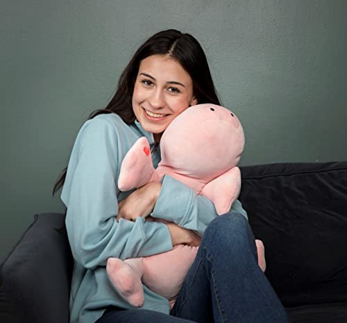 Og Weighted Stuffed Animals, Dinosaur Plush,24Inches 3.5 Pounds Cute And Big Stuffed Pillow, Stress And Anxiety Embroidered With Heart To Indicate Custom Quality And Love. #TOP2