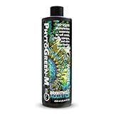 Brightwell Aquatics