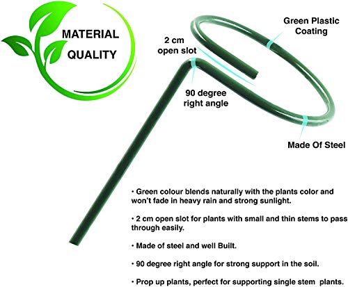 image for Greenpeas Plant Stake Support - 3-Inch Diameter Steel Support Stands w