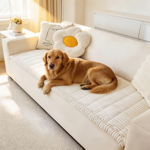 Awjcsv Couch Cover for Dogs Washable, Fuzzy Pet Couch Covers for 3 Cushion Sofa Pet Friendly, Non Slip Sofa Cover (White, 27.6' x 59'/70 x 150cm)