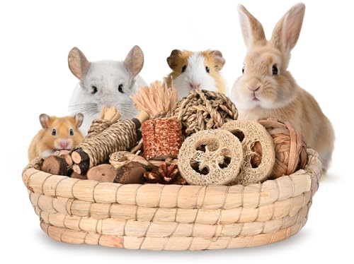 Twilumin 31PCS Rabbit Chew Treat Toys for Teeth Health, Natural Bunny Enrichment Toys for Boredom & Stress Relief, Keep Busy Toys for Guinea Pig Chinchilla Hamster Rat Gerbil Degu Indoor Outdoor