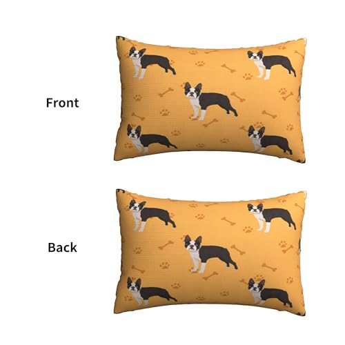 ʃvbVJo[A_炩ȁA20x30C`Axbh\t@ɍœKi{XgeAJtȑƍubNj