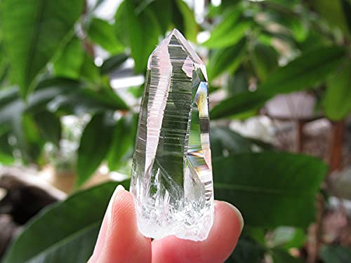 Amazon.co.jp: コロンビア産 レムリアンシードクリスタル 水晶 原石