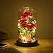 Flower Gifts for Women,Beauty and The Beast Rose in Glass Dome with 2 Lights Mode,Light up Rose Anniversary Romantic Gift for her,Birthday Gifts for Women,Mom,Wife,Girlfriend,Silk Red Rose Gift
