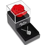 Preserved Red Real Rose with I Love You Necklace in 100 Languages -Enchanted Rose Flower Gifts for Mom Wife Girlfriend Her on Mothers Day Valentines Day Anniversary Christmas Birthday Gifts for Women
