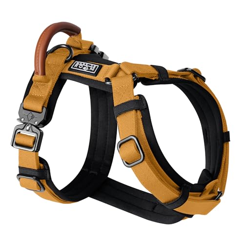 Harnais pour chien en forme de Y premium en nylon durable et cuir - 2