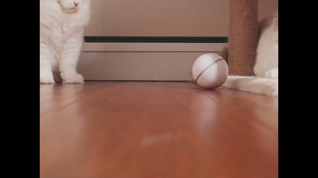 YOFUN Smart Interactive Cat Toy - Newest Version 360 Degree Self Rotating Ball, USB Rechargeable Wicked Ball, Build-in… - Image 7