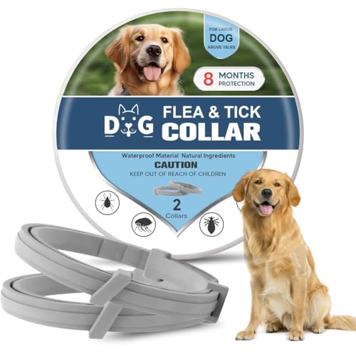 PDKIVFI Dog Collar, Collar for Dogs, 8 Months, Adjustable and Naturally-2P