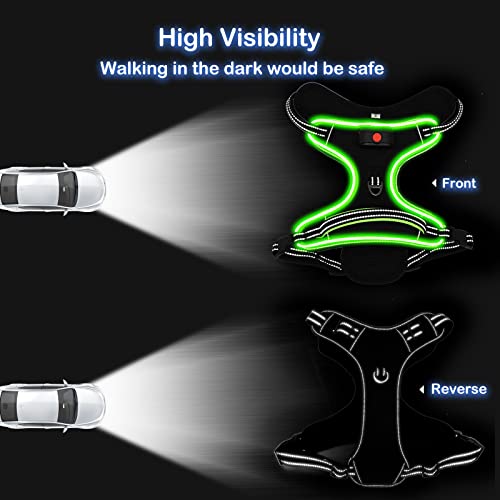 Image of Light Up Dog Harness, Rechargeable LED Dog Vest for Night Walking
