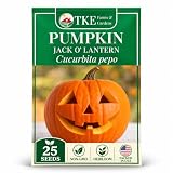 TKE Farms & Gardens - Jack O'Lantern Pumpkin Seeds for Planting, 25 Seeds