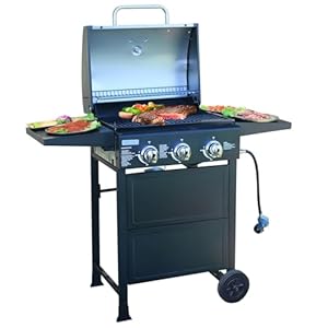 grill propane 3 burner gas grill, Propane grill, bbq grill with thermometer, gas grill outdoor for small gatherings, 30000 BTU barbecue grill with Foldable Rack.