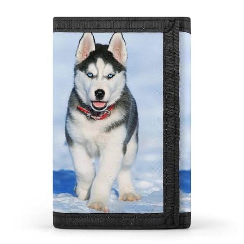 [YINGDAB] O܂z VxA nXL[ ~jz J[hP[X z D fB[X Y J[h K Wallet  RpNg e ^ v[g