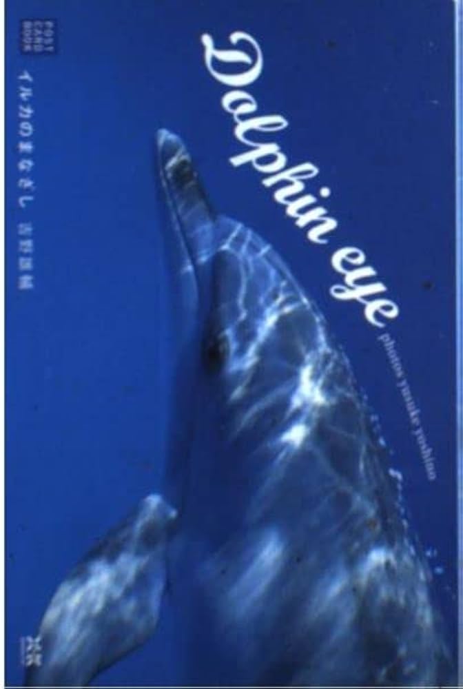 【中古】 Ｄｏｌｐｈｉｎ　ｅｙｅ イルカのまなざし/エクスナレッジ/吉野雄輔 中古】 Dolphin eye イルカのまなざし/エクスナレッジ