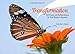 Transformation: 40 Days of Reflection in the Easter Season