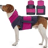 DENTRUN Hunde Beruhigungsweste, Ohrenschutz Hund, Hundemantel zur Linderung von Angst, Anti Stress Hunde Weste, Donner, Gehen Sie Raus (Blau, L)